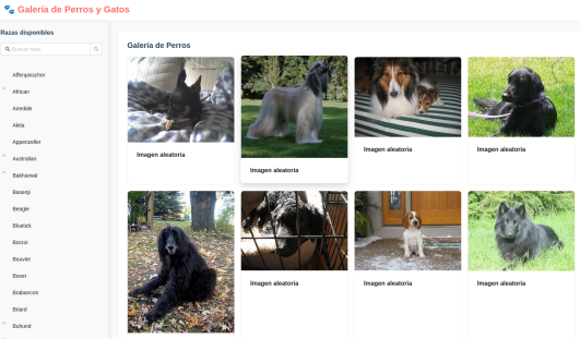 Imagen de Pet Gallery